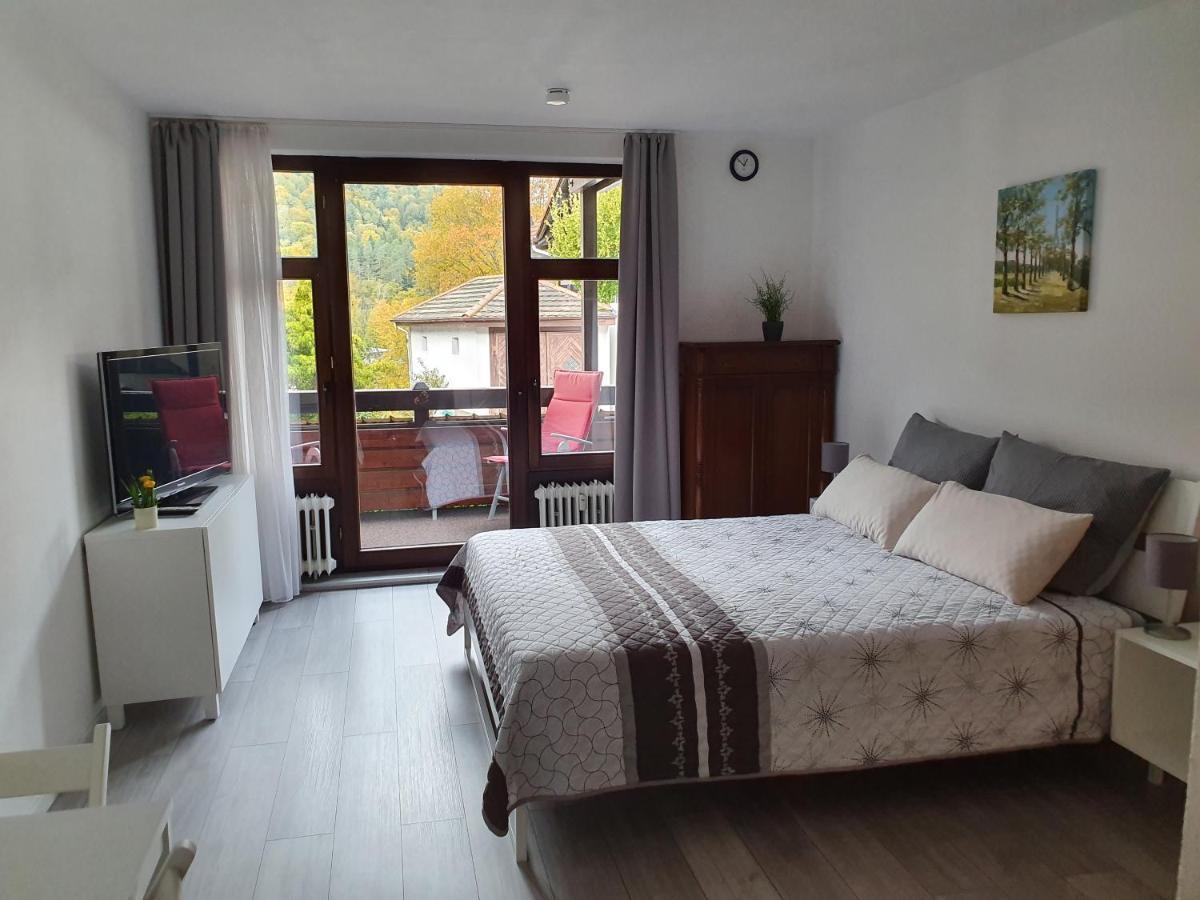 Gemuetliche Ferienwohnung Am Kurpark In バート・ヘレンアプ エクステリア 写真